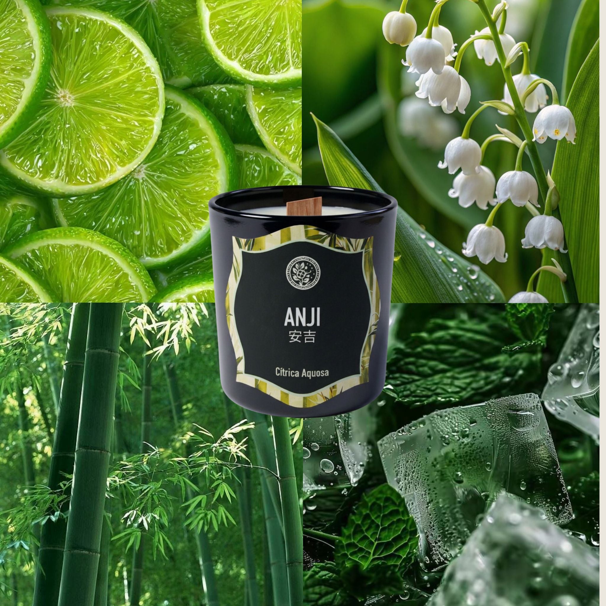 ANJI vela aromática cítrica aquosa Versalat — composição lifestyle